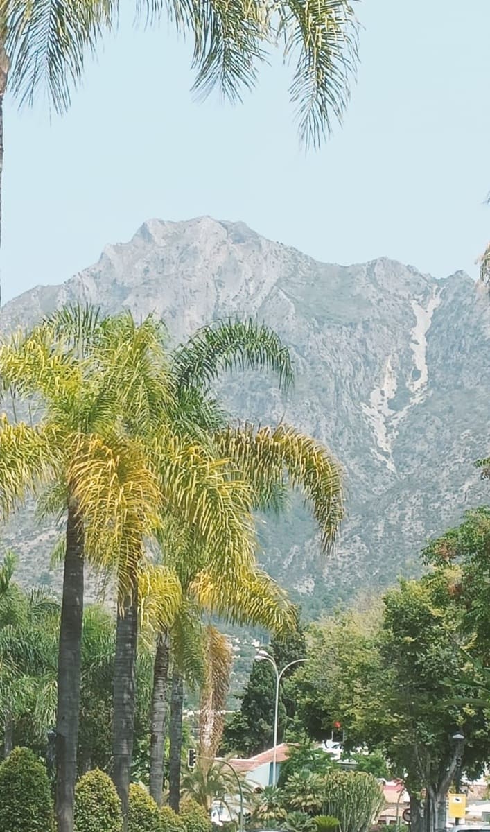 La Concha Mountain in Marbella